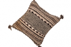 Cushion2