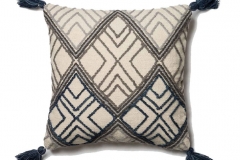 Cushion3