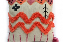 Cushion5